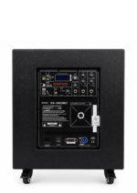 Boxă Activă Profesională DS-2002 MIC – 12 Inch, Bluetooth, USB, AUX, 2 Microfoane - imagine 2